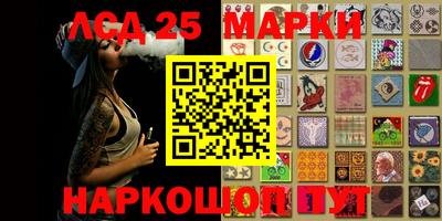 крисы Абакан