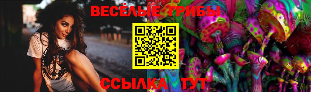 Анжеро-Судженск  цены   Вход с VPN  Галлюциногенные грибы мицелий 